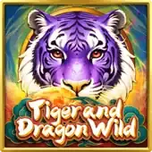 Tiger and Dragon Wild